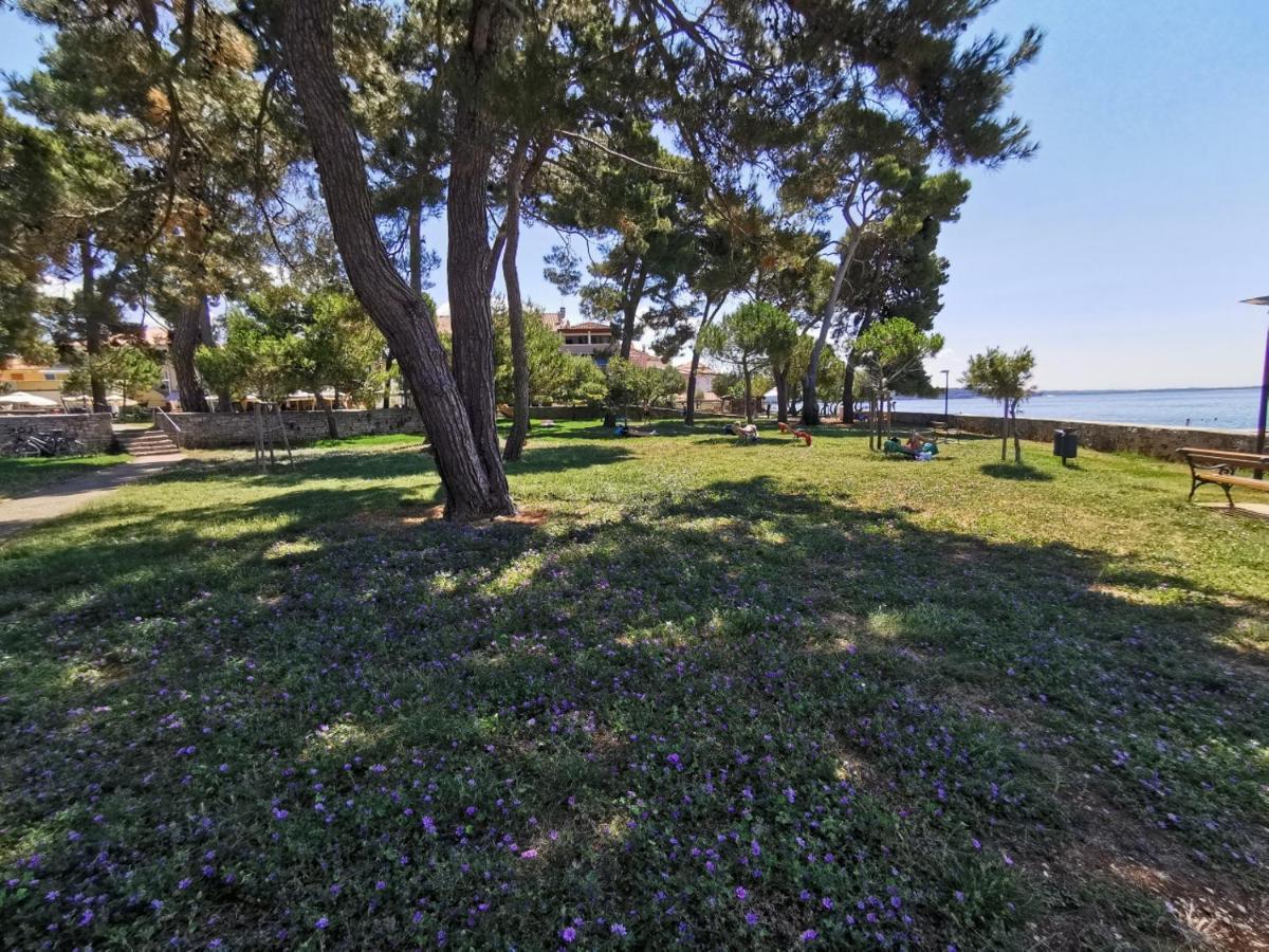 Ivan B&B, 5 Star Superior Room, Near The See And Park Novigrad Istria Eksteriør billede